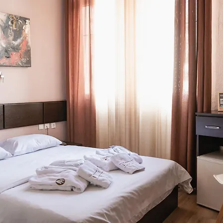 Hotel Ilisia-3